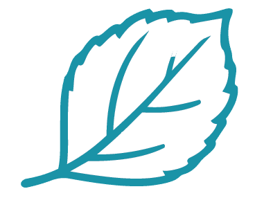 Leaf.