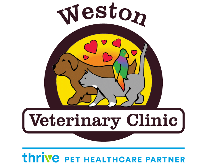 Weston Veterinary Clinic - Thrive Pet Healthcare partner.